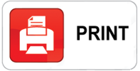 print this page